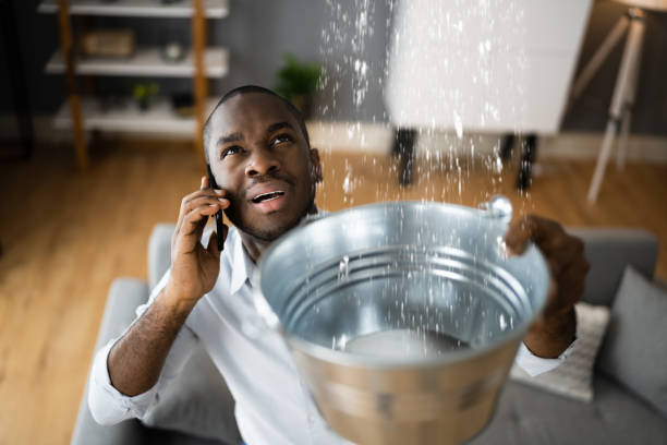 Best 24/7 water damage repair  in Pearl Beach, MI