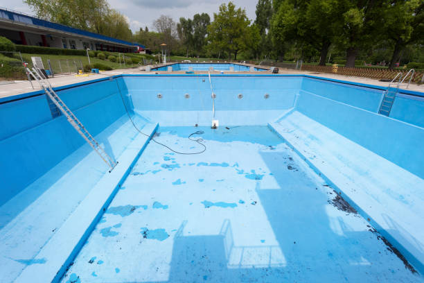 Best Mold removal after water damage  in Pearl Beach, MI