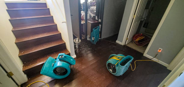 Best Flooded house restoration  in Pearl Beach, MI