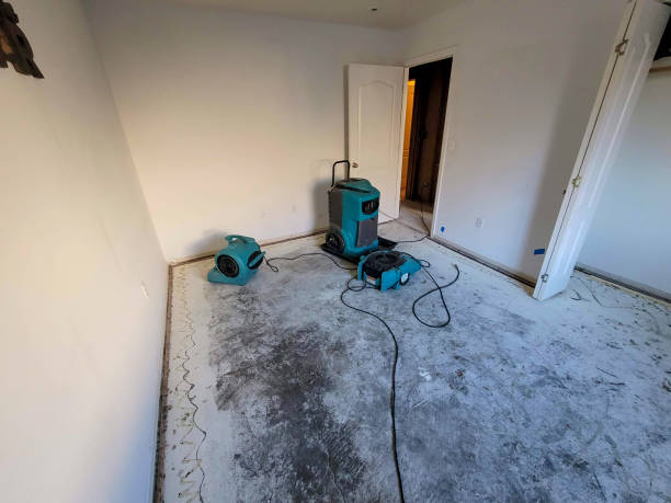 Best Flood restoration services  in Pearl Beach, MI