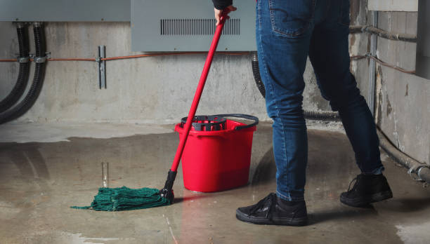  Pearl Beach, MI Water damage restoration Pros