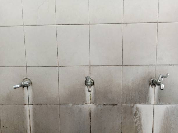 Best Mold removal after water damage  in Pearl Beach, MI