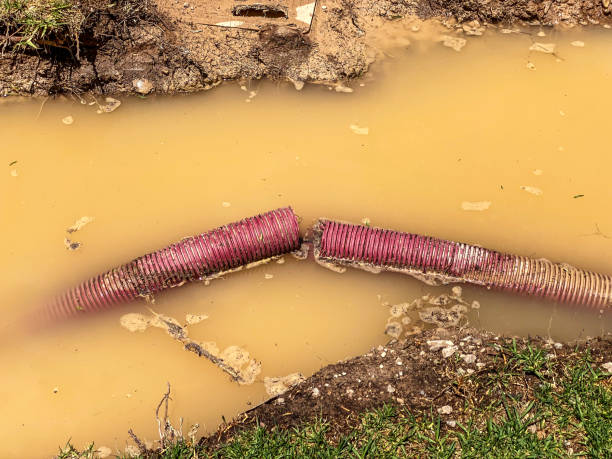 Best Professional water damage repair  in Pearl Beach, MI