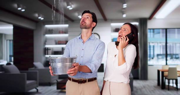 Best Flood restoration services  in Pearl Beach, MI