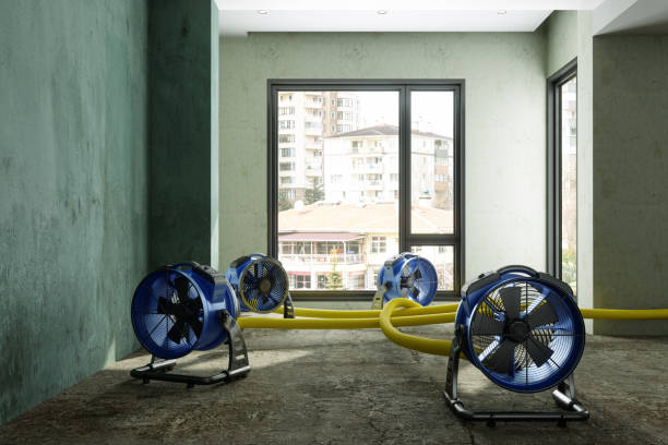 Best Water damage restoration near me  in Pearl Beach, MI