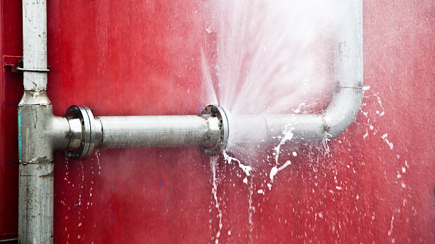 Best Residential water damage restoration  in Pearl Beach, MI